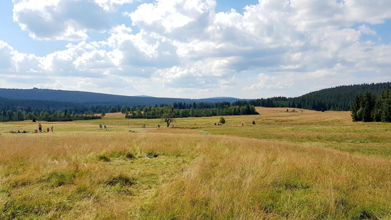Agroturystyka Dowoli Swieradow-Zdroj Exterior photo